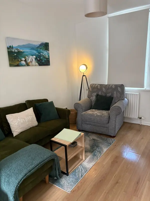 Cosy living room tidied and dusted, Belfast